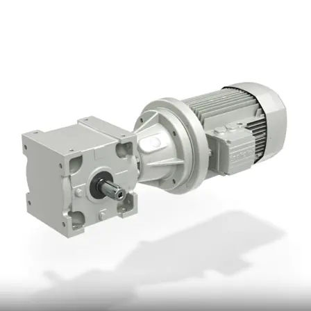 RAN  Series Bevel Gearmotor  low voltage